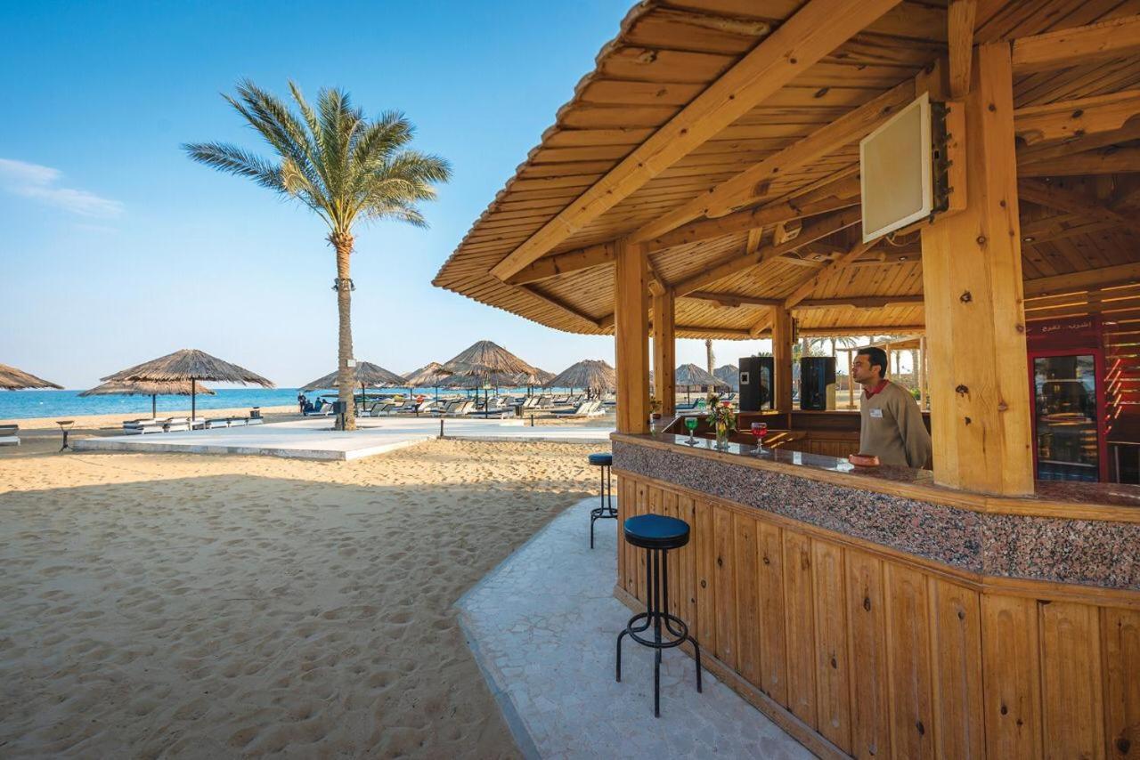 Palmera Chalets Owners Best Vacation Group Families Only 아인 수크나 외부 사진