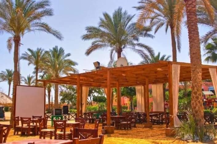Palmera Chalets Owners Best Vacation Group Families Only 아인 수크나 외부 사진