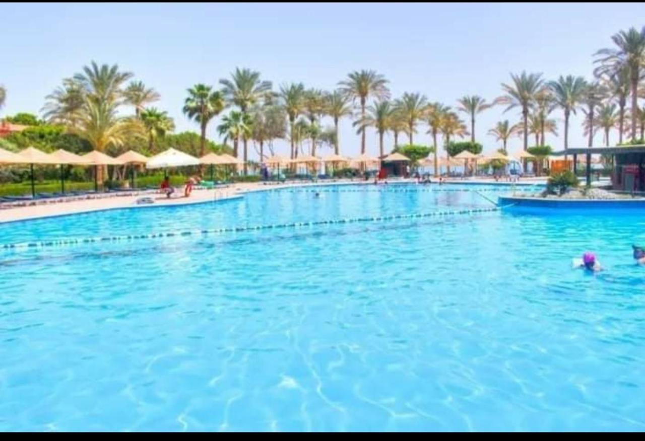 Palmera Chalets Owners Best Vacation Group Families Only 아인 수크나 외부 사진
